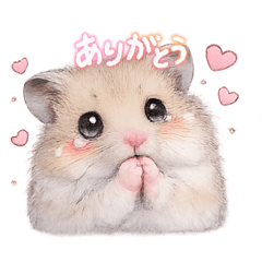 oimo_20260501203527