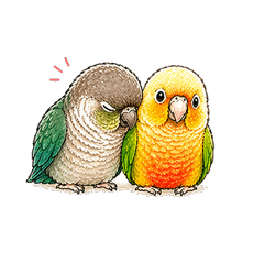 Conure Daily Stickers