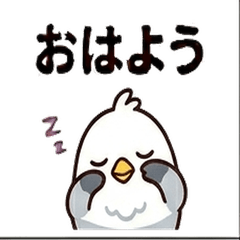 Cute Seagull Character Stickers