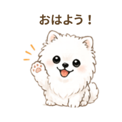 Pomeranian | Everyday Useful Stickers