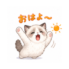 Ragdoll- Daily Chat Stickers