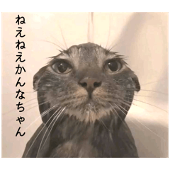 rei_20260501210534