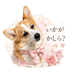 sunny_20260501210444