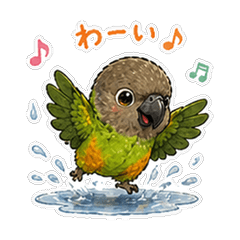 Parakeet Days: Rainy Day