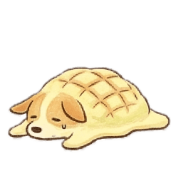 kumakosan_20260501211645