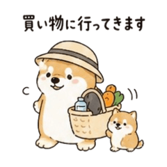 pomu_20260501213211