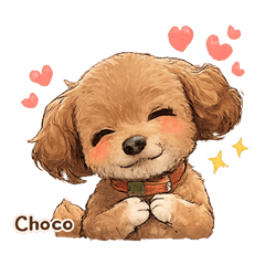 TOYPOODLE Choco
