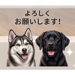 kiri_lemon_20260501213927