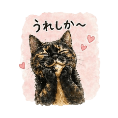 tortiecattsukushi_20260501215457
