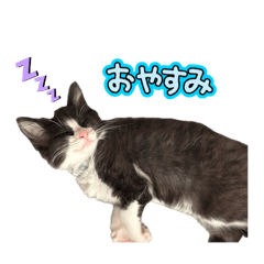 ゆいケンスタンプ
