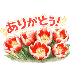 kurumero_20260501221931