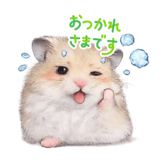 oimo_20260501223329