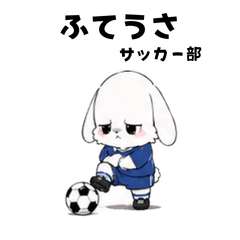 futeusa soccerVer