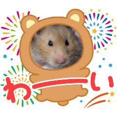 ham104