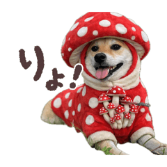 koumeme_20260502222954