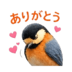 komachan_20260502223317