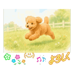 ippippi_20260504114818