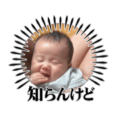 Fu_20260504133726