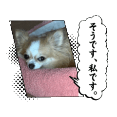 airi_20260504141342