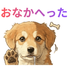 A cute greeting dog