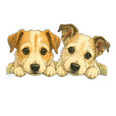 Rin and Hime - Jack Russell Terrier2