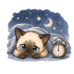 Night Owl Siamese: Midnight Vibes