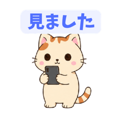 Dry Cat 5: Seen No Reply