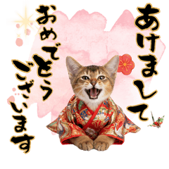 CAT  GOOD  Sticker123