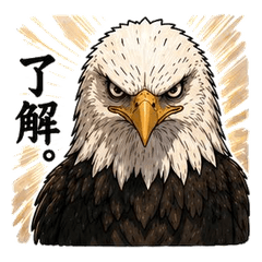 The eagle with sharp eyes