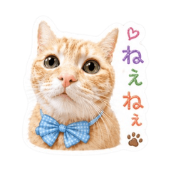 UchiNoMeru_20260501231624
