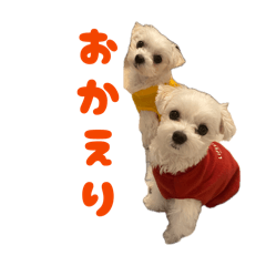 Kaho_20260502223934
