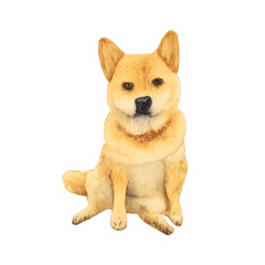 Shiroshi_20260502224322