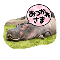yuno_20260502224444