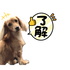 Nonoka_20260502224318