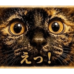 a lot of cats_20260501231803