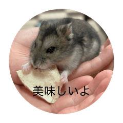 magicyuito_20260502224942