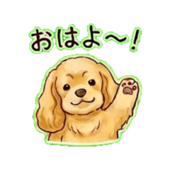 Amer Cocka chan- Daily Chat Stickers