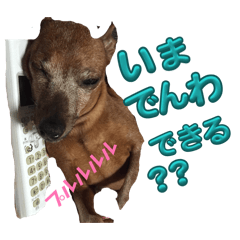 marumametan_20260426103220