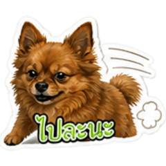 THIP_20260501141640