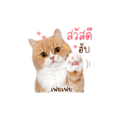 Fei Feiiiii
