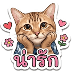 Cat a CoCo