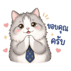 Jinbao the little cat V2