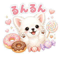 Chiroru the Chihuahua Fluffy Sweets