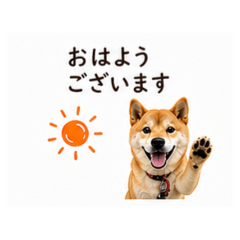 Polite Shiba Inu Joy Stickers