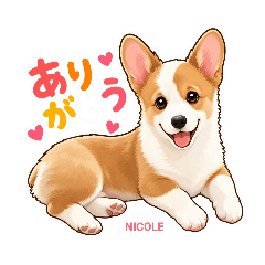 NICONICO_20260502004523