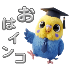 Dr.Maruco_20260502005919