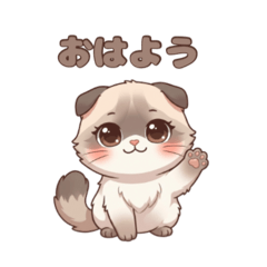 Yuki_20260502010747
