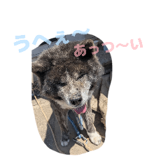 haruneko_20260502230014