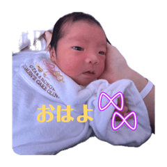 harupi_20260502225822
