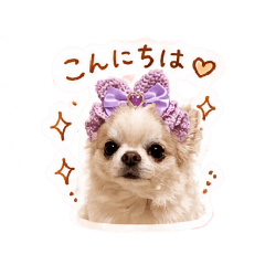 mamii_20260502225728